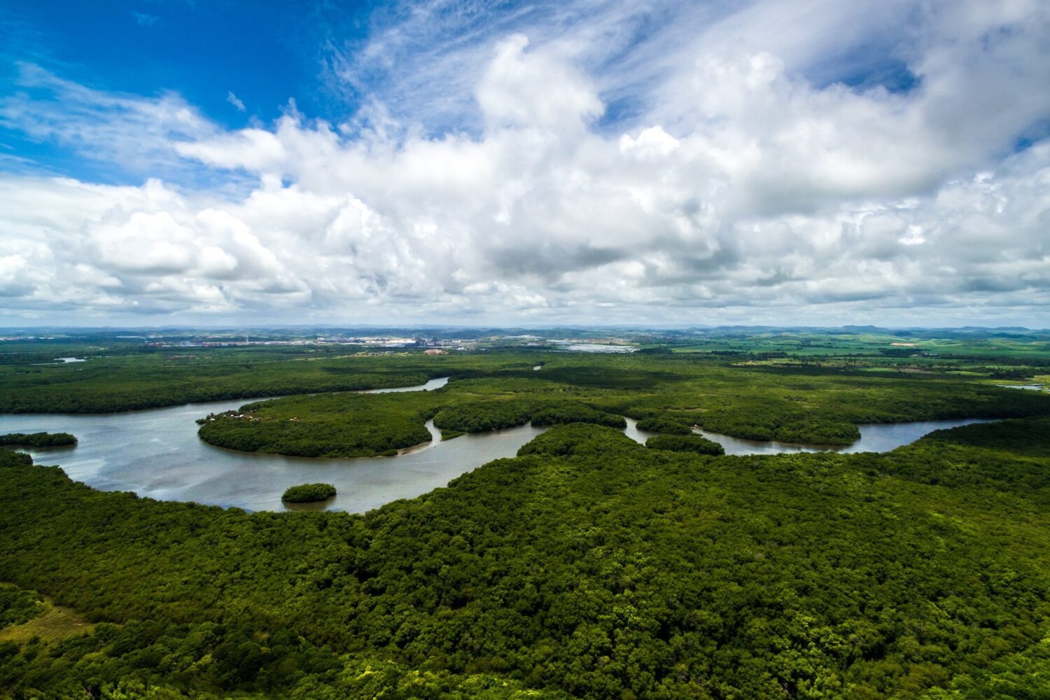 Plan turístico al Amazonas